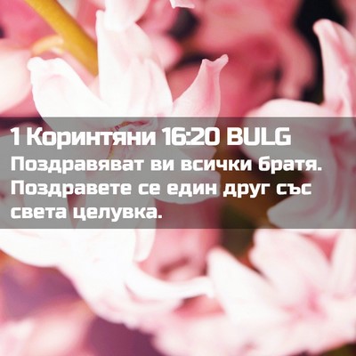 Picture 02 - 1 Коринтяни 16:20 BULG - Поздравяват ви всички - Bible Verse Picture