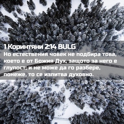 Picture 02 - 1 Коринтяни 2:14 BULG - Но естествения човек не - Bible Verse Picture