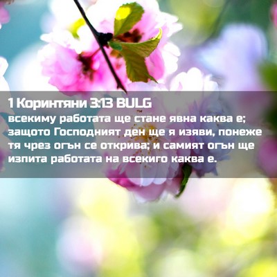 Picture 02 - 1 Коринтяни 3:13 BULG - всекиму работата ще стане - Bible Verse Picture