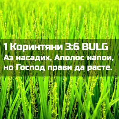 Picture 02 - 1 Коринтяни 3:6 BULG - Аз насадих, Аполос напои, - Bible Verse Picture