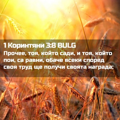 Picture 02 - 1 Коринтяни 3:8 BULG - Прочее, тоя, който сади, и - Bible Verse Picture