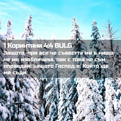Picture 02 - 1 Коринтяни 4:4 BULG - Защото, при все че съвестта - Bible Verse Picture