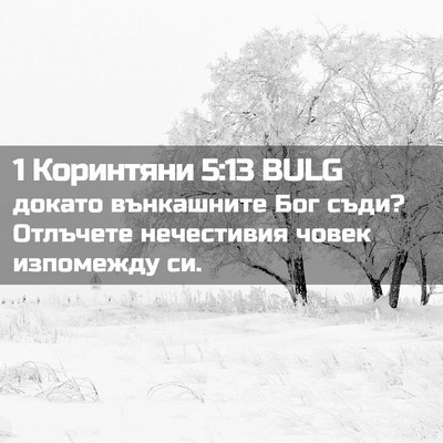 Picture 02 - 1 Коринтяни 5:13 BULG - докато вънкашните Бог - Bible Verse Picture