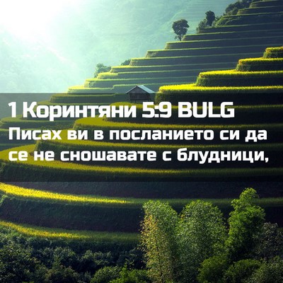 Picture 02 - 1 Коринтяни 5:9 BULG - Писах ви в посланието си да - Bible Verse Picture