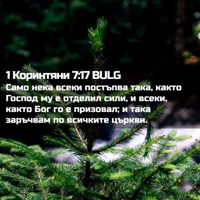 Picture 02 - 1 Коринтяни 7:17 BULG - Само нека всеки постъпва - Bible Verse Picture