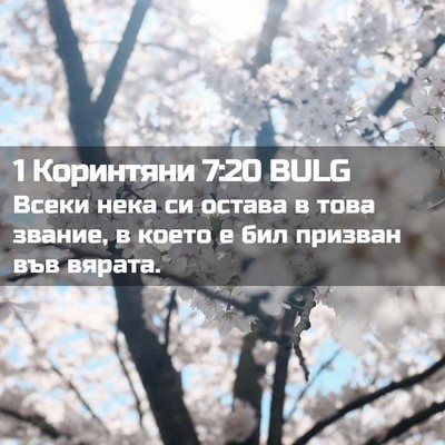 Picture 02 - 1 Коринтяни 7:20 BULG - Всеки нека си остава в това - Bible Verse Picture