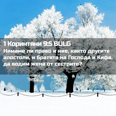 Picture 02 - 1 Коринтяни 9:5 BULG - Нямаме ли право и ние, - Bible Verse Picture