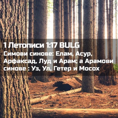 Picture 02 - 1 Летописи 1:17 BULG - Симови синове: Елам, Асур, - Bible Verse Picture