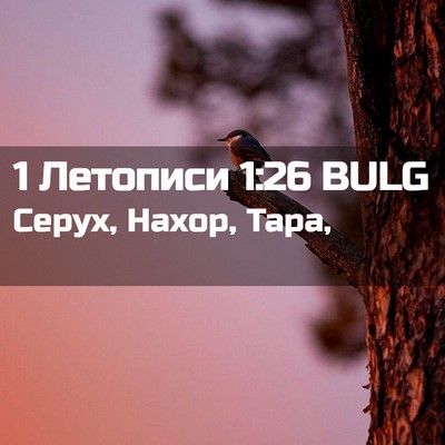 Picture 02 - 1 Летописи 1:26 BULG - Серух, Нахор, - Bible Verse Picture