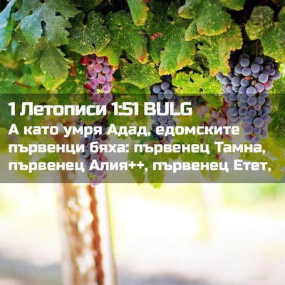 Picture 02 - 1 Летописи 1:51 BULG - А като умря Адад, едомските - Bible Verse Picture