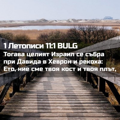 Picture 02 - 1 Летописи 11:1 BULG - Тогава целият Израил се - Bible Verse Picture