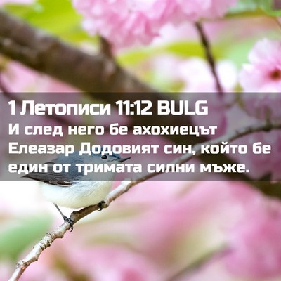 Picture 02 - 1 Летописи 11:12 BULG - И след него бе ахохиецът - Bible Verse Picture