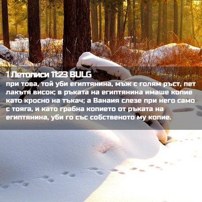 Picture 02 - 1 Летописи 11:23 BULG - при това, той уби - Bible Verse Picture