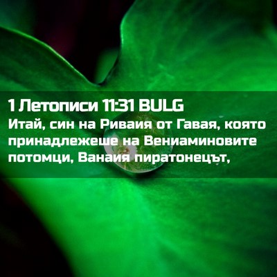 Picture 02 - 1 Летописи 11:31 BULG - Итай, син на Риваия от - Bible Verse Picture