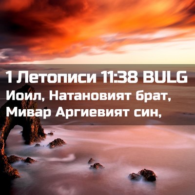 Picture 02 - 1 Летописи 11:38 BULG - Иоил, Натановият брат, - Bible Verse Picture