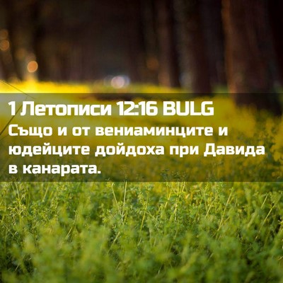 Picture 02 - 1 Летописи 12:16 BULG - Също и от вениаминците и - Bible Verse Picture