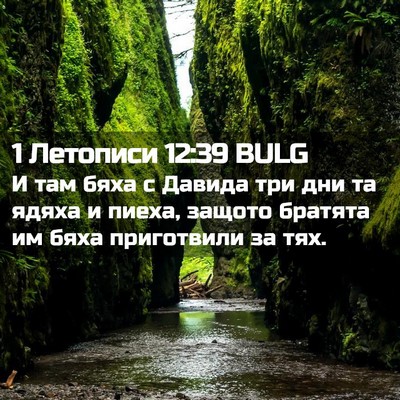 Picture 02 - 1 Летописи 12:39 BULG - И там бяха с Давида три дни - Bible Verse Picture
