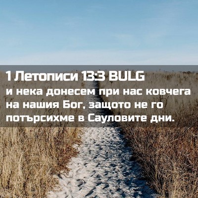 Picture 02 - 1 Летописи 13:3 BULG - и нека донесем при нас - Bible Verse Picture