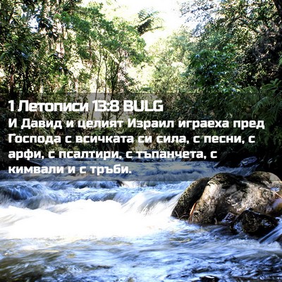 Picture 02 - 1 Летописи 13:8 BULG - И Давид и целият Израил - Bible Verse Picture