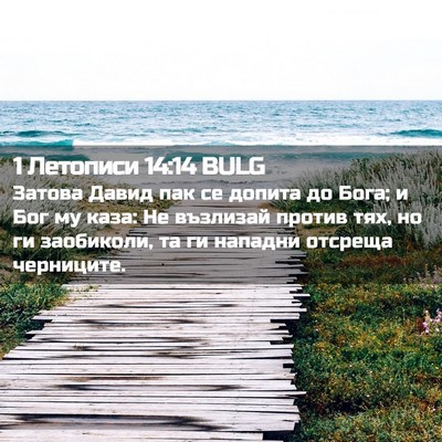 Picture 02 - 1 Летописи 14:14 BULG - Затова Давид пак се допита - Bible Verse Picture