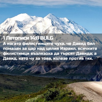 Picture 02 - 1 Летописи 14:8 BULG - А когато филистимците - Bible Verse Picture
