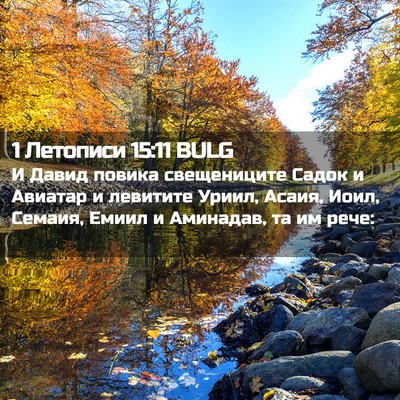 Picture 02 - 1 Летописи 15:11 BULG - И Давид повика свещениците - Bible Verse Picture