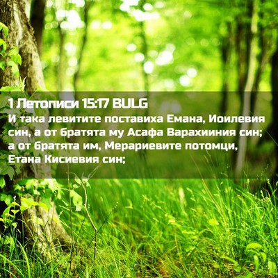 Picture 02 - 1 Летописи 15:17 BULG - И така левитите поставиха - Bible Verse Picture