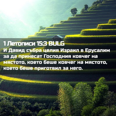 Picture 02 - 1 Летописи 15:3 BULG - И Давид събра целия Израил - Bible Verse Picture