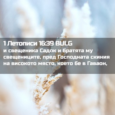 Picture 02 - 1 Летописи 16:39 BULG - и свещеника Садок и - Bible Verse Picture