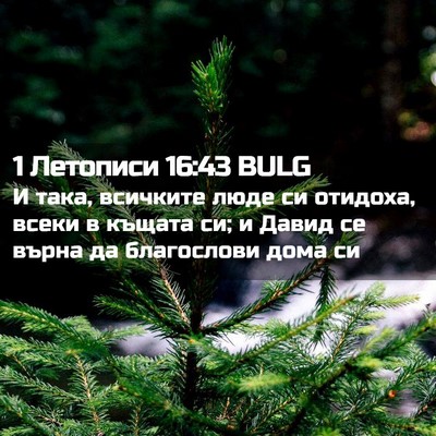 Picture 02 - 1 Летописи 16:43 BULG - И така, всичките люде си - Bible Verse Picture