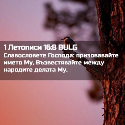 Picture 02 - 1 Летописи 16:8 BULG - Славословете Господа: - Bible Verse Picture