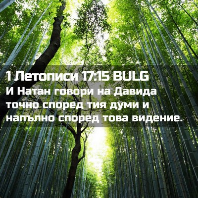 Picture 02 - 1 Летописи 17:15 BULG - И Натан говори на Давида - Bible Verse Picture