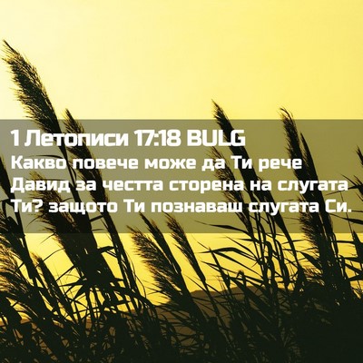 Picture 02 - 1 Летописи 17:18 BULG - Какво повече може да Ти - Bible Verse Picture