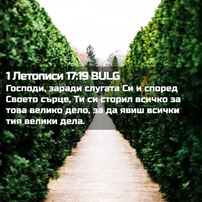 Picture 02 - 1 Летописи 17:19 BULG - Господи, заради слугата Си - Bible Verse Picture