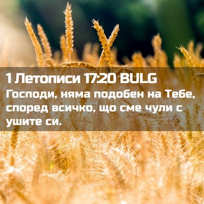Picture 02 - 1 Летописи 17:20 BULG - Господи, няма подобен на - Bible Verse Picture
