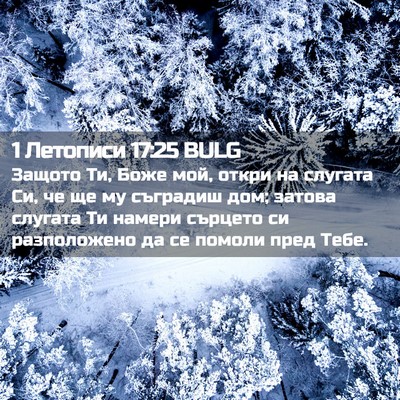Picture 02 - 1 Летописи 17:25 BULG - Защото Ти, Боже мой, откри - Bible Verse Picture