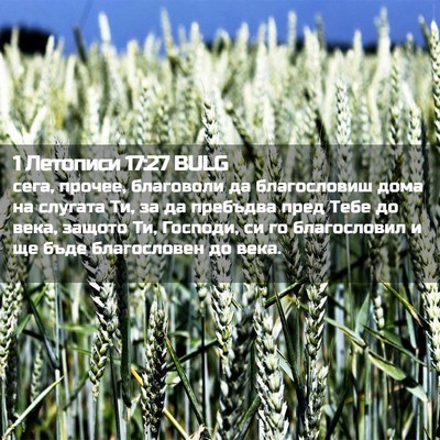 Picture 02 - 1 Летописи 17:27 BULG - сега, прочее, благоволи да - Bible Verse Picture
