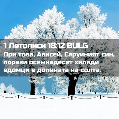 Picture 02 - 1 Летописи 18:12 BULG - При това, Ависей, Саруиният - Bible Verse Picture