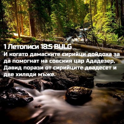 Picture 02 - 1 Летописи 18:5 BULG - И когато дамаските сирийци - Bible Verse Picture