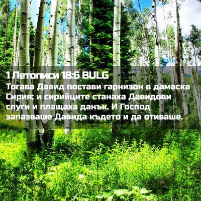 Picture 02 - 1 Летописи 18:6 BULG - Тогава Давид постави - Bible Verse Picture