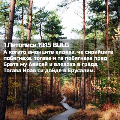 Picture 02 - 1 Летописи 19:15 BULG - А когато амонците видяха, - Bible Verse Picture