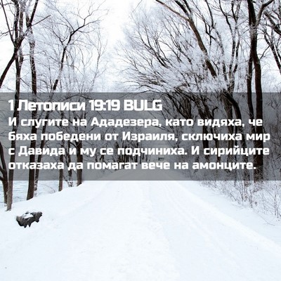 Picture 02 - 1 Летописи 19:19 BULG - И слугите на Ададезера, - Bible Verse Picture