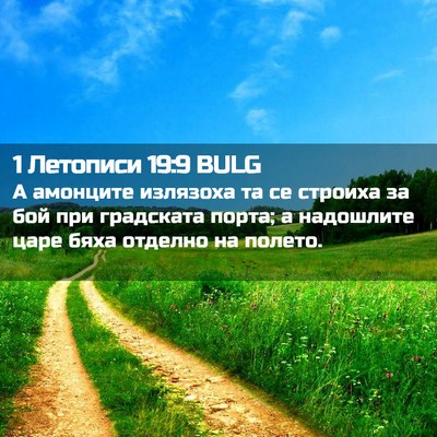 Picture 02 - 1 Летописи 19:9 BULG - А амонците излязоха та се - Bible Verse Picture