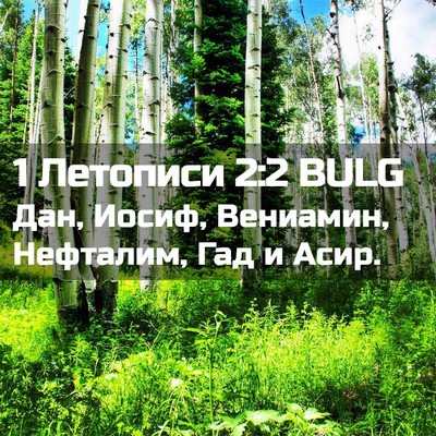Picture 02 - 1 Летописи 2:2 BULG - Дан, Иосиф, Вениамин, - Bible Verse Picture