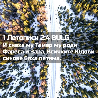 Picture 02 - 1 Летописи 2:4 BULG - И снаха му Тамар му роди - Bible Verse Picture