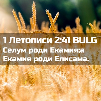 Picture 02 - 1 Летописи 2:41 BULG - Селум роди Екамия;а Екамия - Bible Verse Picture