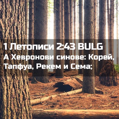 Picture 02 - 1 Летописи 2:43 BULG - А Хевронови синове: Корей, - Bible Verse Picture