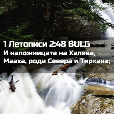 Picture 02 - 1 Летописи 2:48 BULG - И наложницата на Халева, - Bible Verse Picture