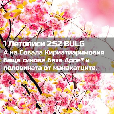 Picture 02 - 1 Летописи 2:52 BULG - А на Совала - Bible Verse Picture