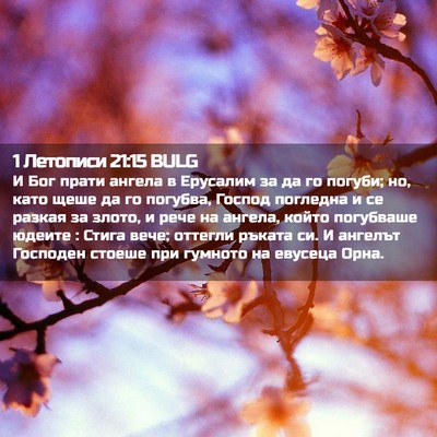 Picture 02 - 1 Летописи 21:15 BULG - И Бог прати ангела в - Bible Verse Picture